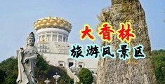 三级大鸡巴中国浙江-绍兴大香林旅游风景区